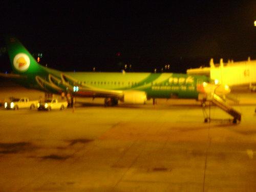 DSC03408_resize.JPG